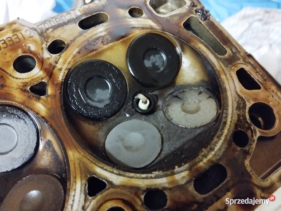 Głowa 55559340 A16XER Chevrolet Opel