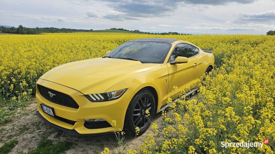 Ford Mustang 37 BLPG 2015r Mustang dolnośląskie Zawidów