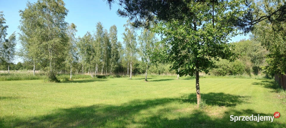 MAZURY Działka jeziorem Roś z dostępem do linii warmińsko-mazurskie Szczechy Małe