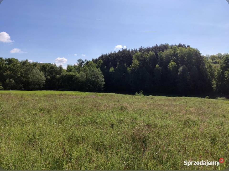 Działka budowlana Dąbie gmina Raciechowice telefon