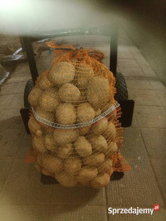 Sprzedam ziemniaki opolskie