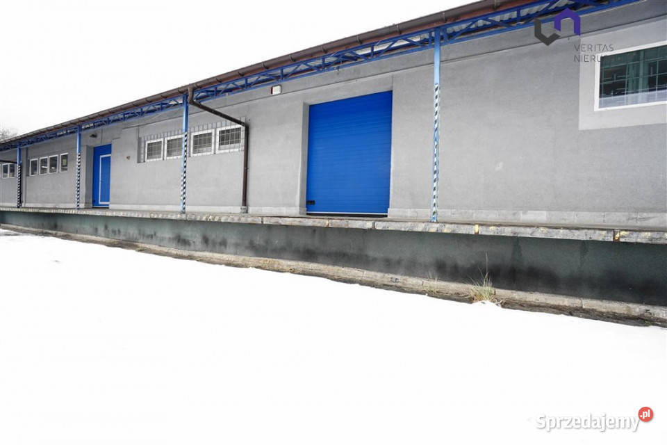 Lokal Katowice 600m2 sprzedam