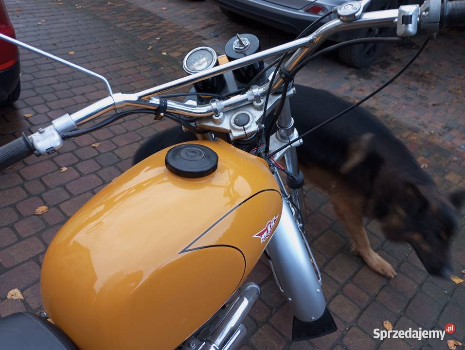 Wsk sport s1 175 nie wfm shl Susz sprzedam