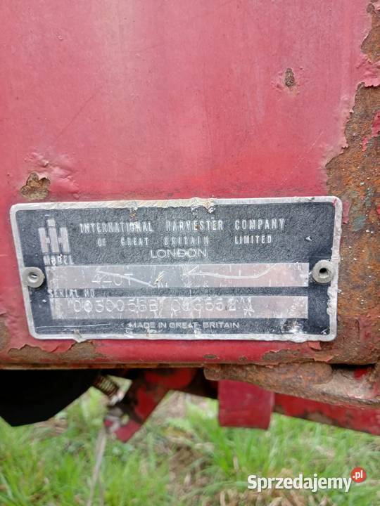 Sprzedam prase kostke Skronina