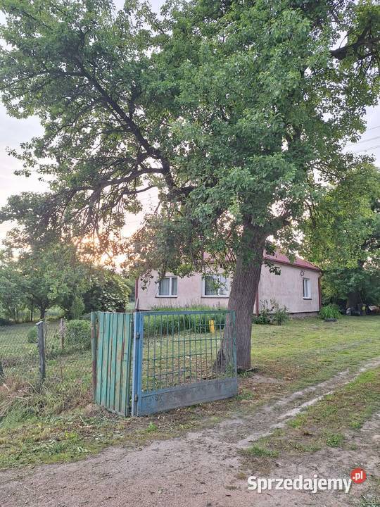 Dom z dużą działką siedlisko Udrycze-Koniec