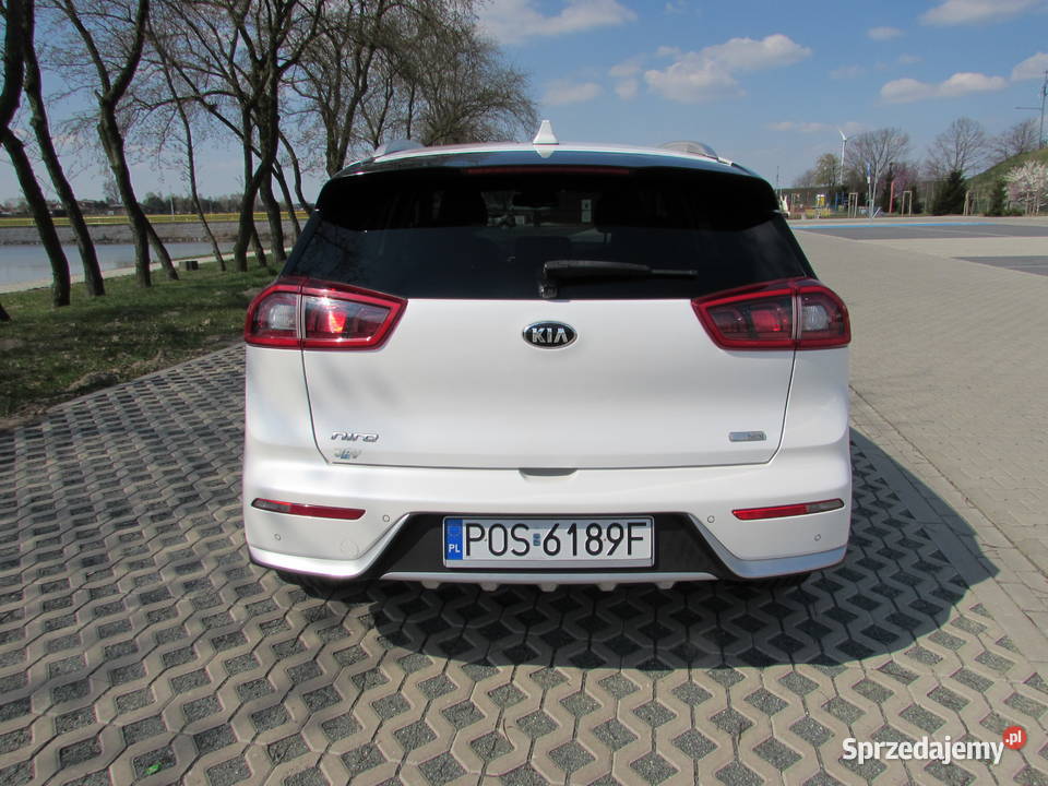 Kia Niro 16 GDi HEV XL Radar FULL LED Raszków