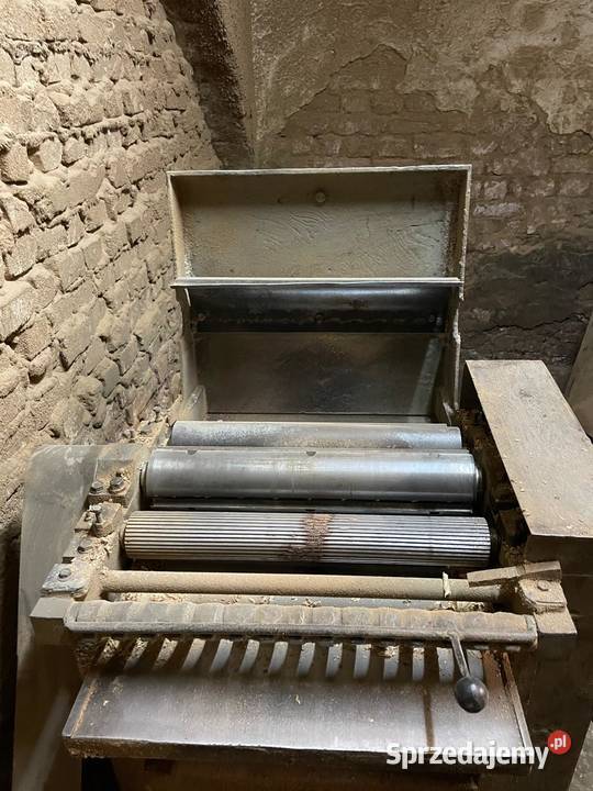 Strugarka Grubościówka wielkopolskie Czerwonak