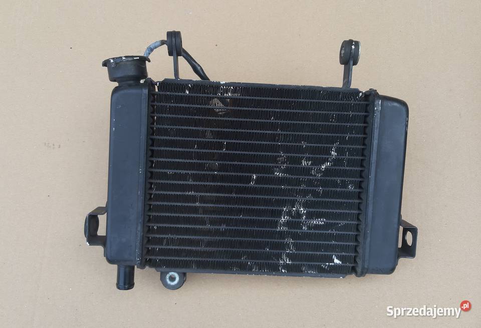 HONDA CBR 125 CHŁODNICA WODY CIECZY Bieleń