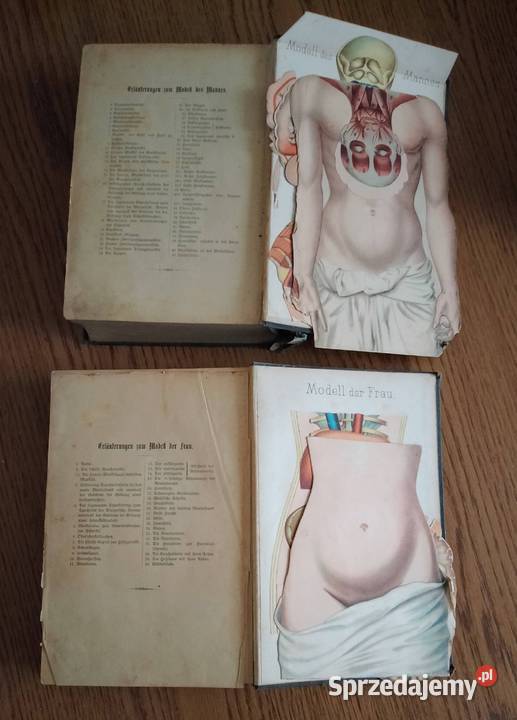 Książki Naturalna metoda leczenia drCSturm Nakło nad Notecią