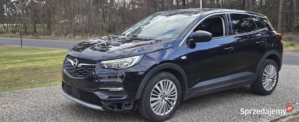 Opel Grandland X Grandland X Leszno