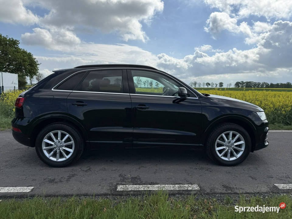 Audi Q3 20TDI 184 Quattro Bezwypadkowy Kamera możliwa zamiana dolnośląskie Ocice