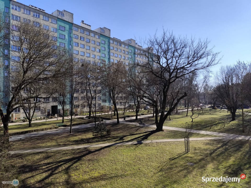 sprzedaży mieszkania 5859m2 3pokojowe Kielce sprzedam