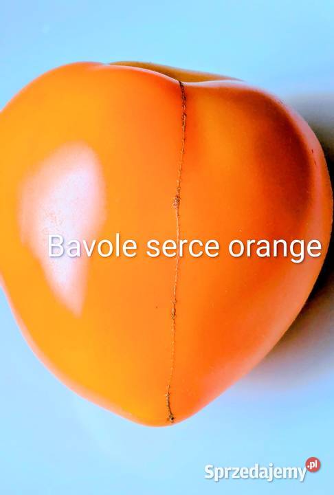 Bawole serce Orange i Red kolekcja pomidorów Nasiona Kraków
