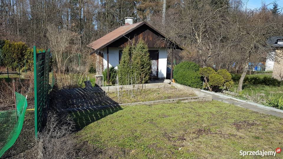 Sprzedam działkę ogrodniczą 300m2 Gdynia sprzedam