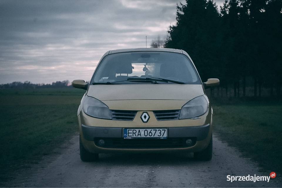 Renault Scenic II 19dci 2004 elektryczne lusterka Radomsko