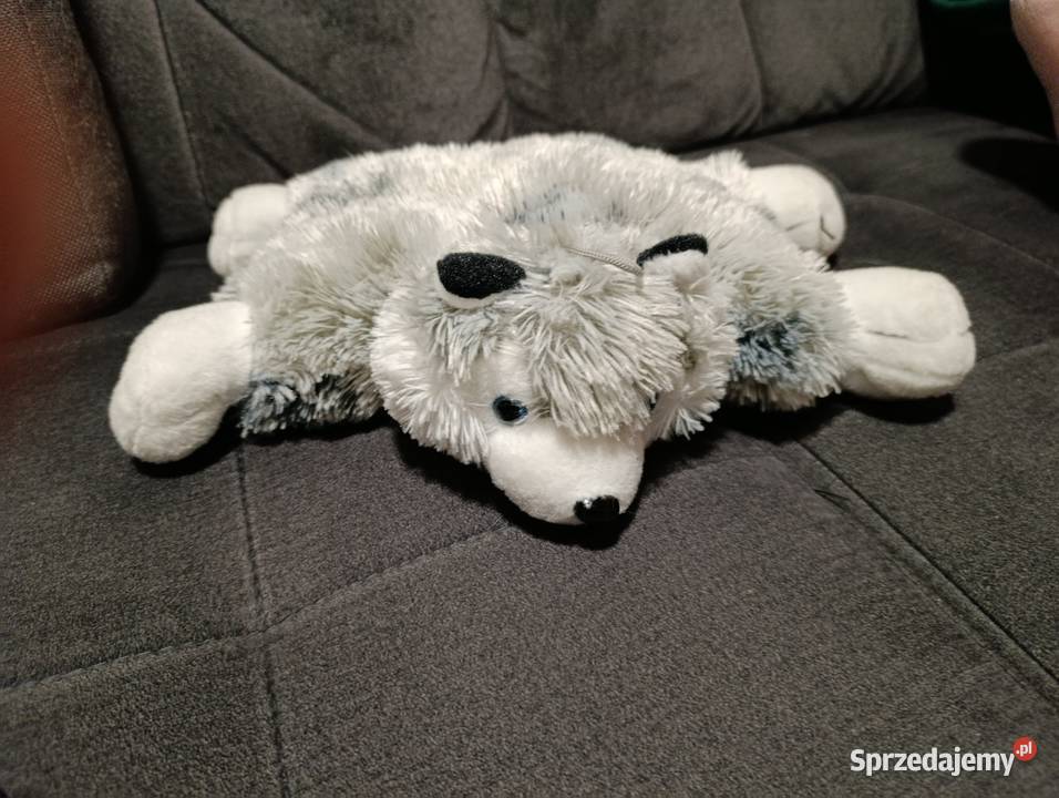 pluszowa poduszka w kształcie psa husky marki Maskotki Poznań