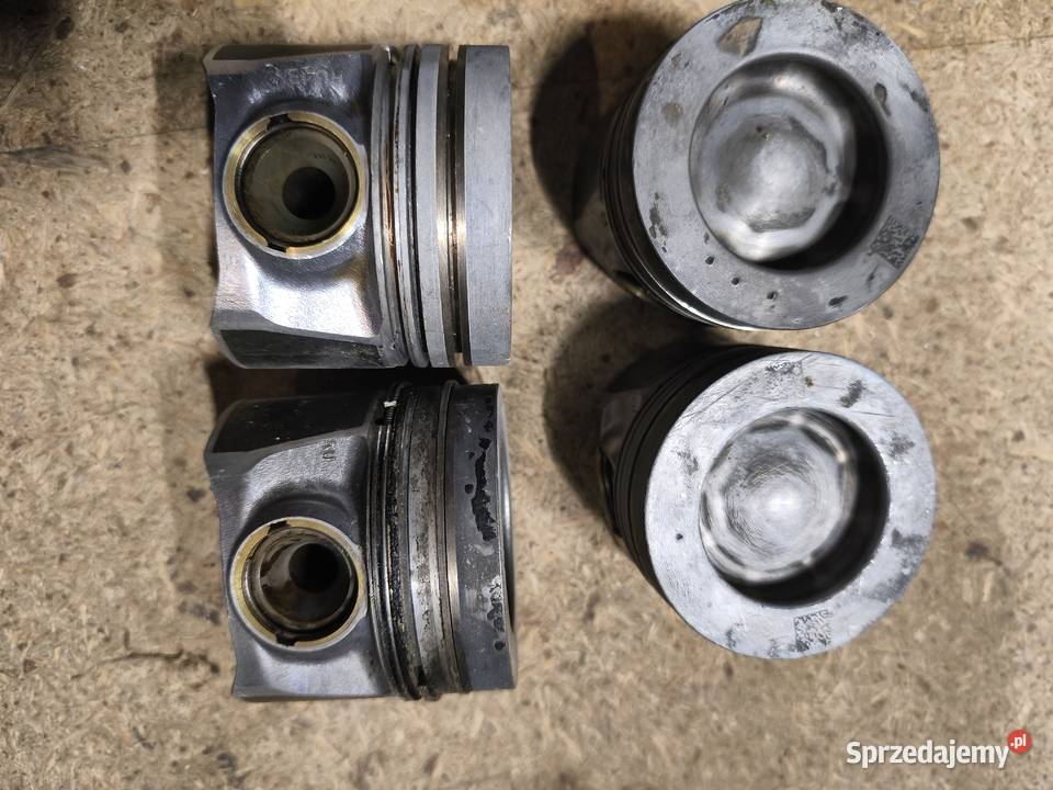 tłok tłoki 81l137 VW SEAT SKODA Trzebnica