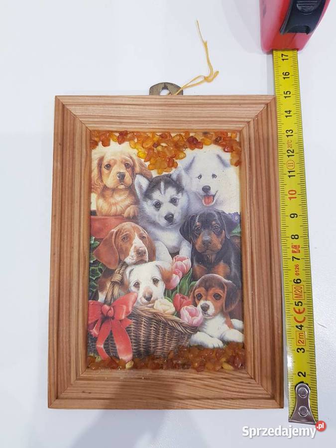 Ozdobny obrazek z bursztynkami śląskie