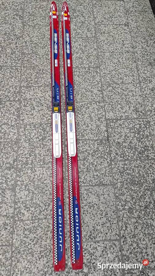 Narty biegowe ASNES 160 wiązania SNS Narty Sporty zimowe Dębica