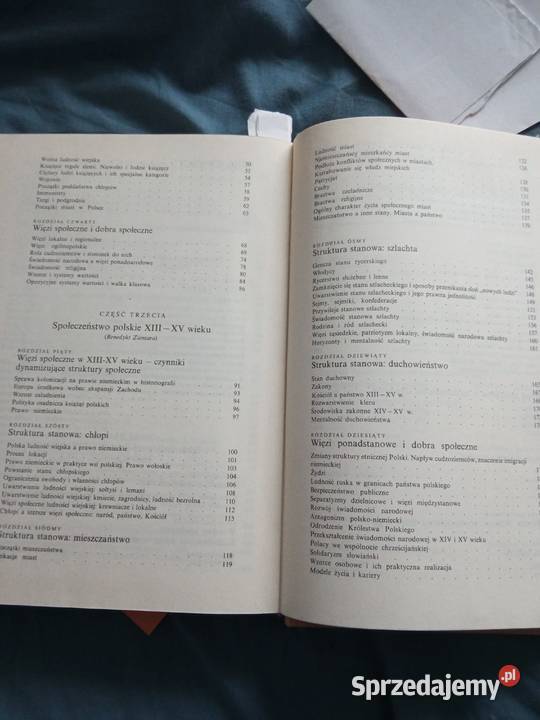 społeczeństwo polskie X do XX wieku socjologia Turobin