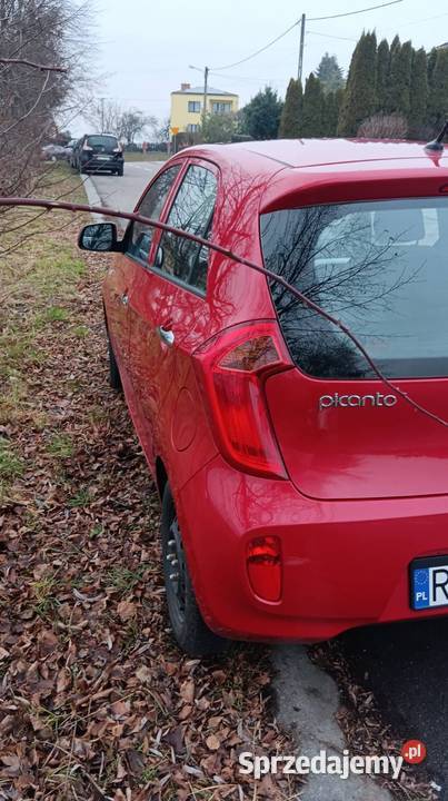 Kia Picanto 10 benzyna 2013 Kolbuszowa