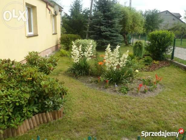 Sprzedam dom Dorohusk Osada ogródek Domy