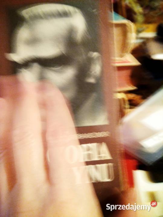 Filozofia czynu o Piłsudskim książka pierwsze Warszawa