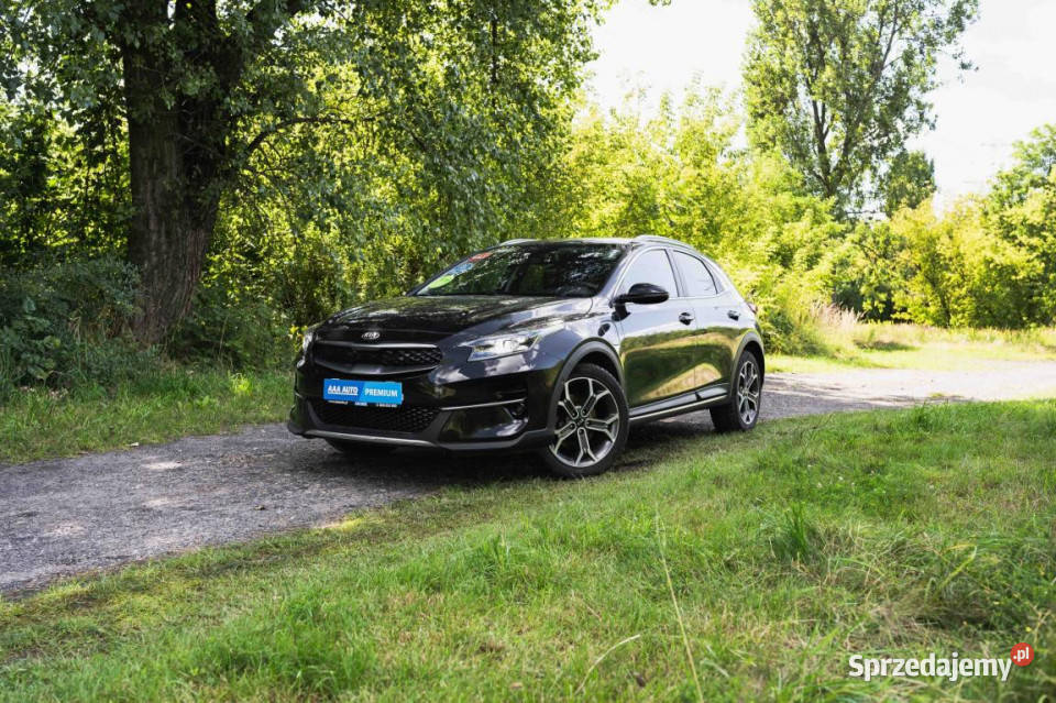 Kia XCeed PluginHybrid przyciemniane szyby Katowice