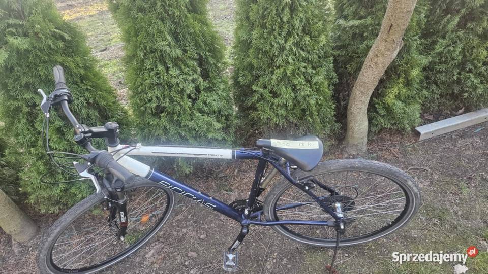 Rower męski 28 Darłowo