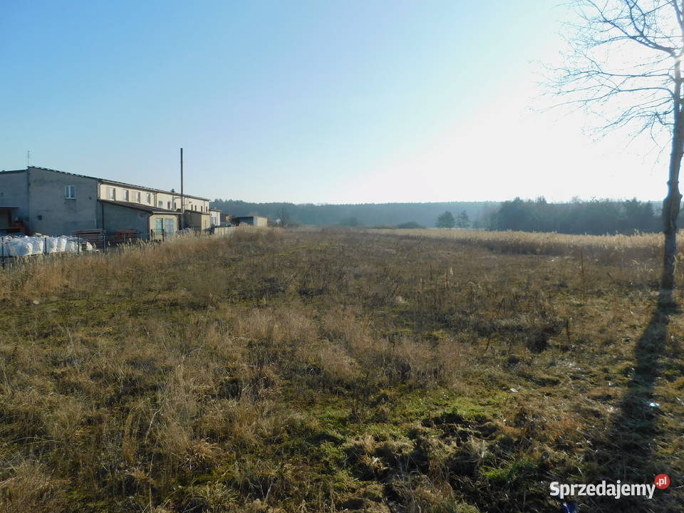 Syndyk sprzeda Mogielnica dz 1657 i 1746 19zł/m2 sprzedam