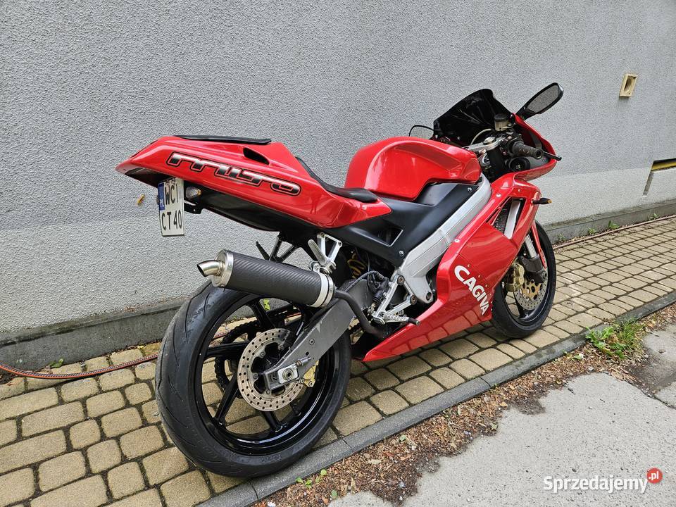 CAGIVA MITO 125 Najszybsze 125 na Kat B pomorskie Gdańsk