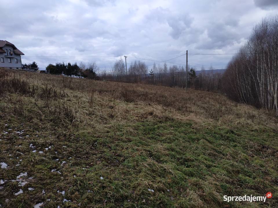 Działka budowlana koło Dębicy Sprzedaż Dębica