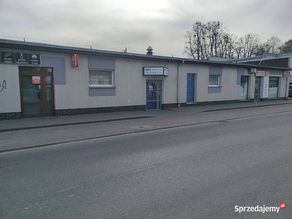 Sprzedam pralnię chemiczną Brodnica