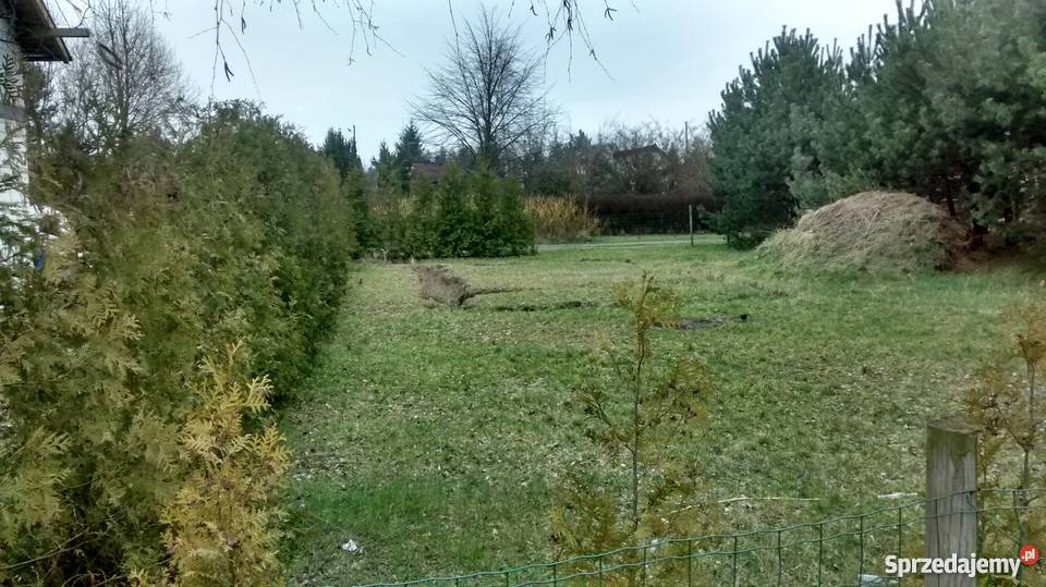 Działka ROD Sierosław II 15 Poznania Sierosław