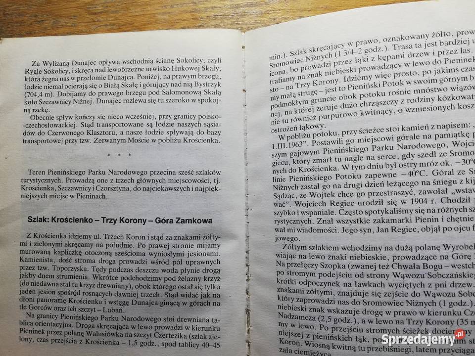 Pieniny Władysław Strojny Kraków