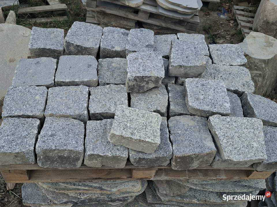 Krostka rzędowa szara łupnieta na pół pomorskie Prokowo sprzedam