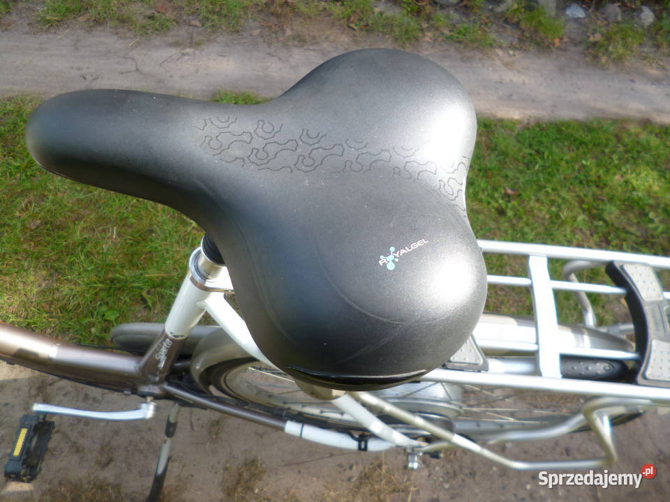 Rower Sparta Ion LSeries wspomaganie elektryczne Łochów