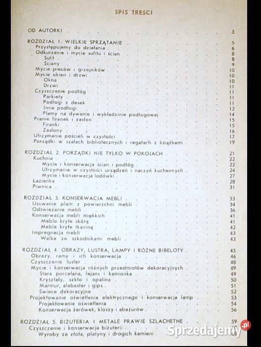 ABC porządków domowych Zofia Dzięgielewska twarda Chełm
