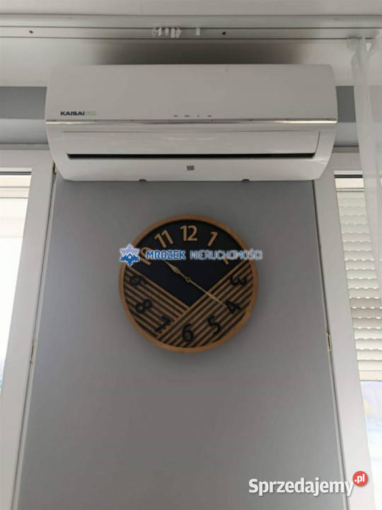 Sprzedam mieszkanie 557m2 3 pokoje Sprzedaż śląskie Jastrzębie-Zdrój