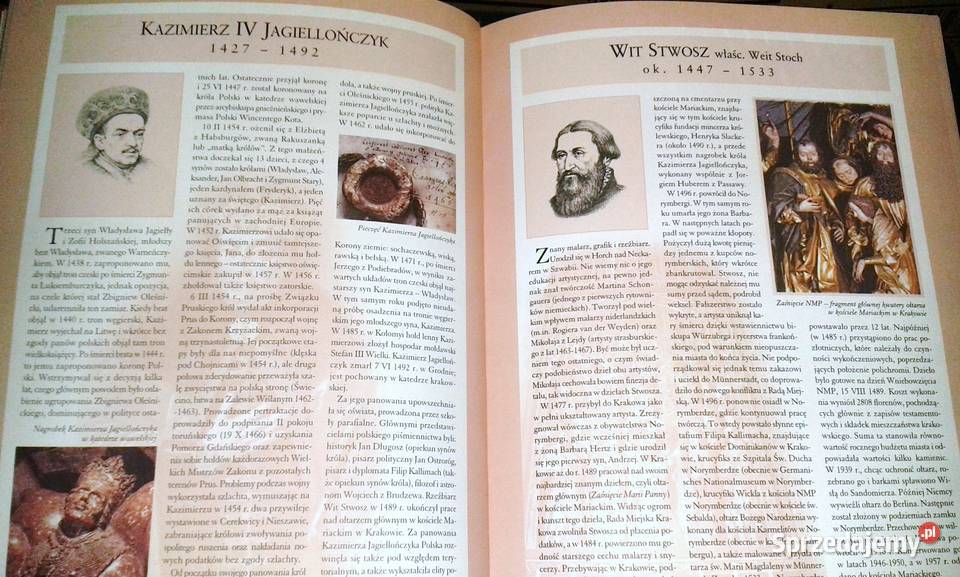 Bohaterowie historii Polski Videograf II Praca Rok wydania 2007 lubelskie Chełm sprzedam