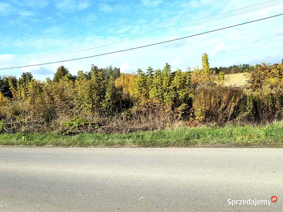 sprzedaży działki Jakubowice Konińskie 1307m2 414zł/m2 Sprzedaż sprzedam