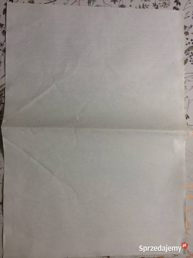 3837 Ksero Niemieckiej Mapy Kamienia Szczecin