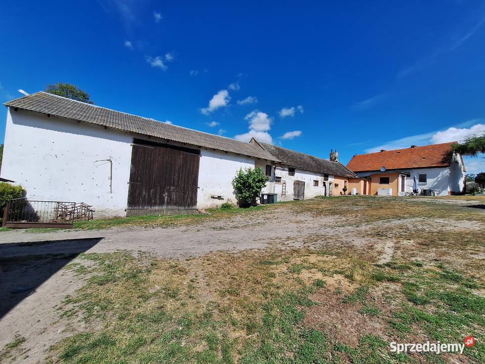 Dom z zabudową gospodarczą 2080m2 wielkopolskie Zduny