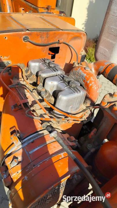 Władimirec pierwszy właściciel podkarpackie Grodzisko Dolne