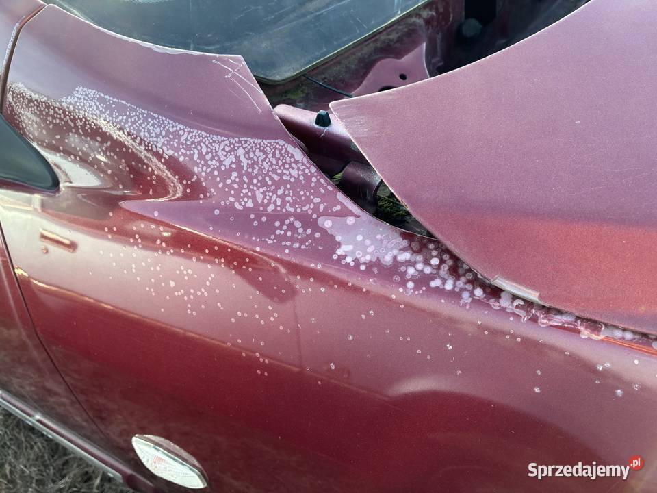 Błotnik Prawy Przód Kia Carens EX Wisznice