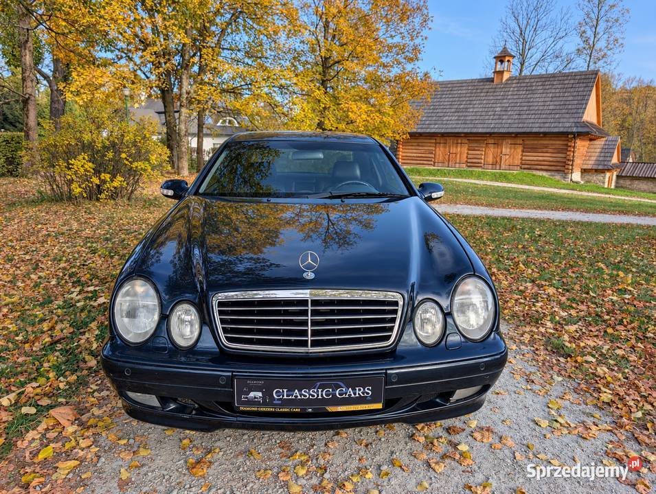 Mercedes Benz W208 CLK430 V8 CLK Niedźwiedź