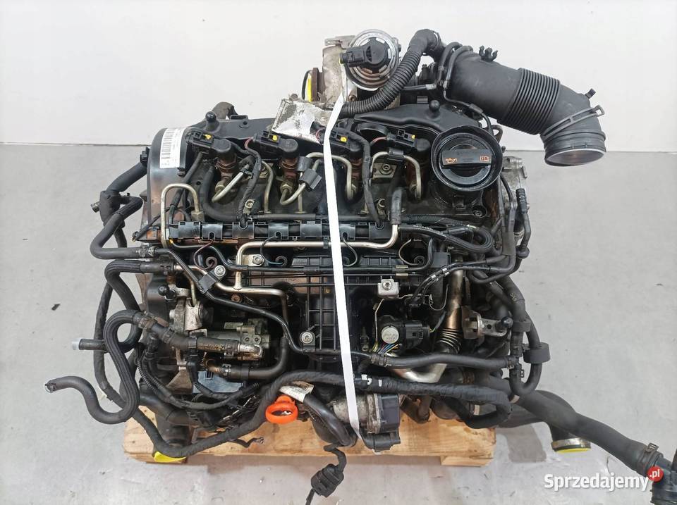 SILNIK KOMPLETNY DIESEL 16 TDI CAY Skoda Superb Silniki kompletne świętokrzyskie