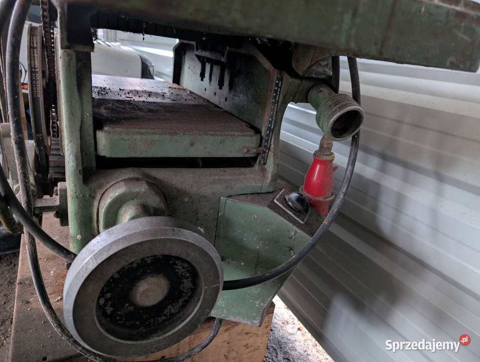 Grubościówka Heblarka wielkopolskie