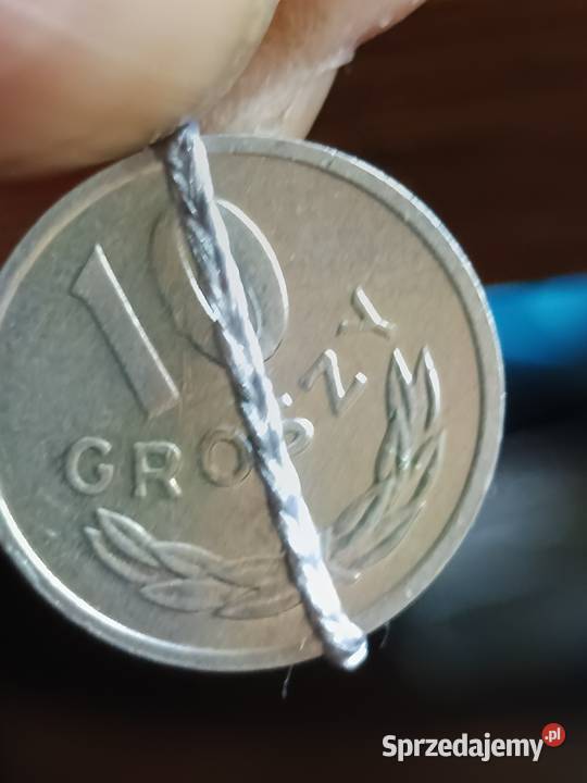 Sprzedam 10 gr 1981 r skretka Chełm