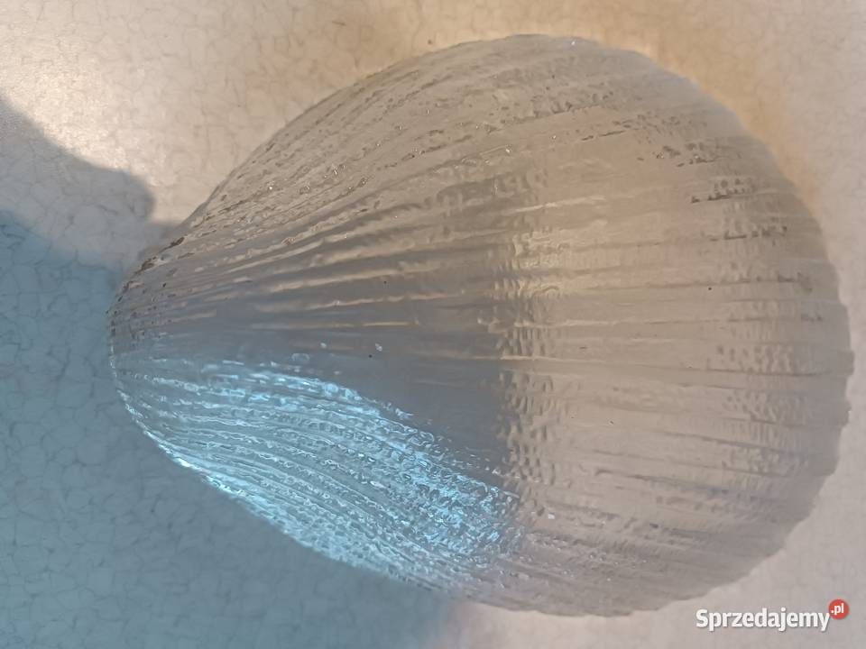 Komplet salaterek i patera MUSZLA Cardidae L Chrzanów